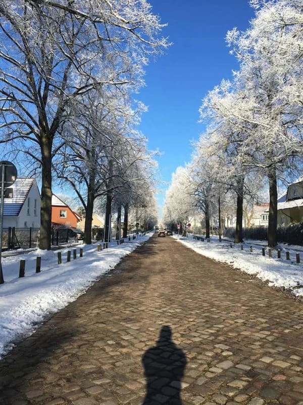 Immobilie in Teltow - Repräsentative Villa mit sonnigem Südgarten, Gewerbeeinheit und vielfältigen Nutzungsmöglichkeiten - Bild 2