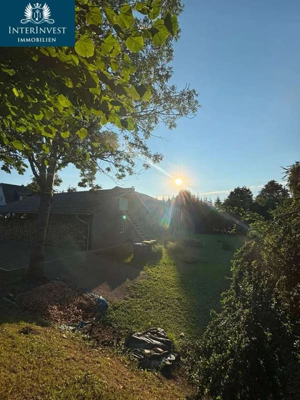 Immobilie in Neukalen - Wohnen, wo andere Erholung suchen – modernes Zuhause auf ca. 3.000 m² parkähnlichem Grundstück - Bild 4
