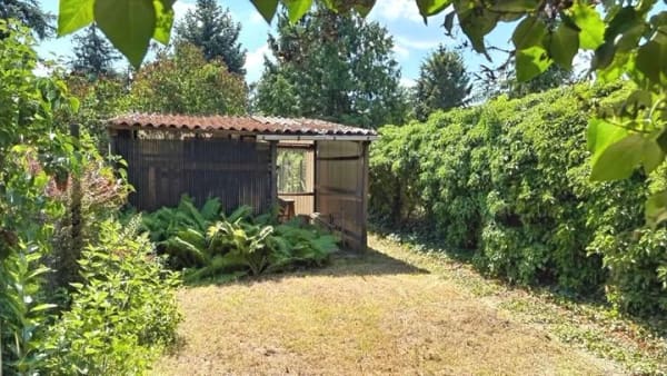Immobilie in Jerichow - Großes naturnahes Grundstück in Brettin! - Bild 4