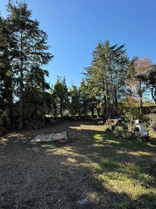 Immobilie in Gau-Algesheim - Ein Zuhause mit Potenzial - Bungalow mit großem Grundstück in Ockenheim - Bild 1