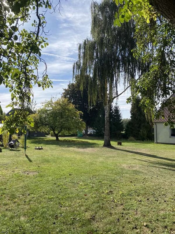 Immobilie in Mirow - Charmantes Wohnhaus sucht neue Besitzer - Bild 4