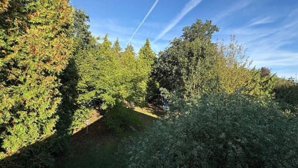 Immobilie in Balve - Viel Platz für die Familie mit riesigem Grundstück - Bild 4