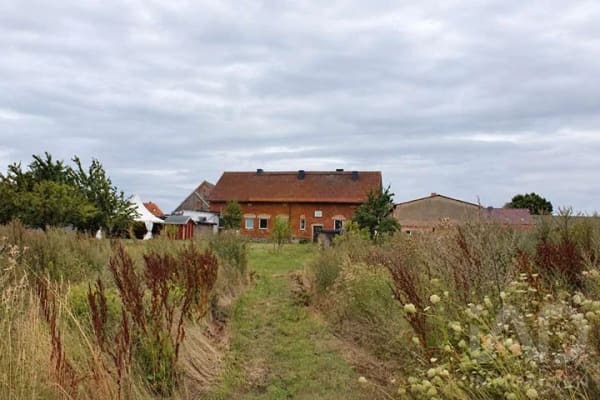 Immobilie in Galenbeck - Historischer Dreiseitenhof mit Reitplatz auf 11,94 ha - Bild 1
