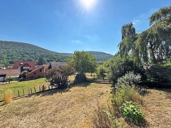 Immobilie in Miltenberg - Ein Wohlfühlort für Ihre Familie - Bild 4