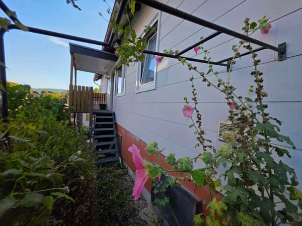 Immobilie in Salzhemmendorf - Alternative zur Mietwohnung: Mittelhaus zum sofort Einziehen in Salzhemmendorf OT Wallensen - Bild 1