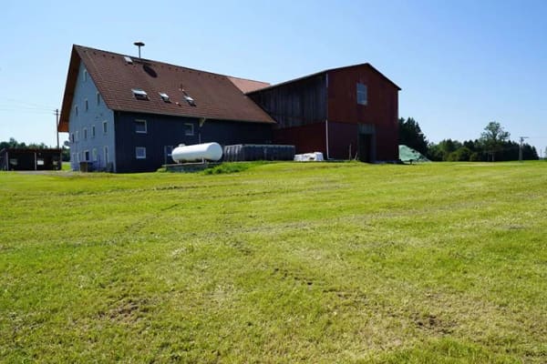 Immobilie in Altusried - Bauernhaus mit Entwicklungspotential mit viel Wohn- und Nutzflächen - Bild 4