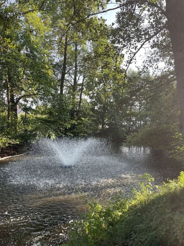 Immobilie in Obertraubling - Wasserschloss Gebelkofen: Hervorragende 2-Zimmker-Wohnung, Idylle pur - Bild 1