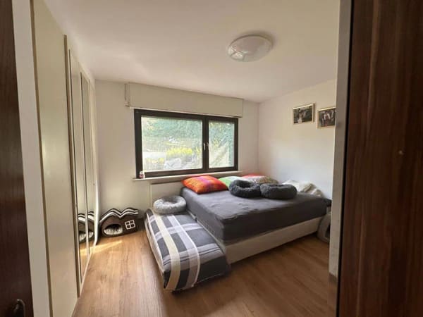 Immobilie in Schmitten - Fertighaus mit 3 Wohnungen - Bild 4