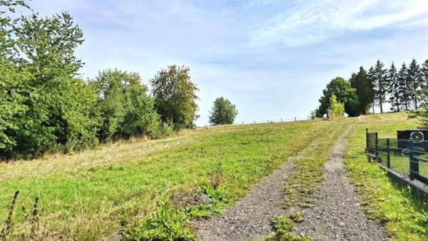 Immobilie in Königsee - Zweifamilienhaus mit Ferienwohnung am Ortsrand von Oberhain! - Bild 3