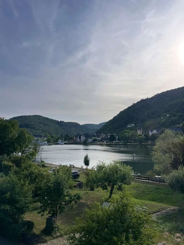 Immobilie in Bullay - Einfamilienhaus in einmaliger Mosellage, hochwasserfrei - Bild 2