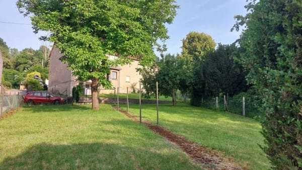 Immobilie in Nonnweiler - orig. alt-saarländisches Bauernhaus in exzellenter Lage - Bild 4