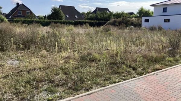 Immobilie in Pampow - Traumhafte Doppelhaushälfte mit Grundstück vor den Toren Schwerins - Bild 4