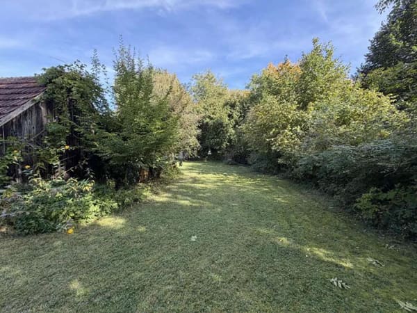 Immobilie in Biberbach - Einfamilienhaus mit Potential und großem Garten - Bild 3