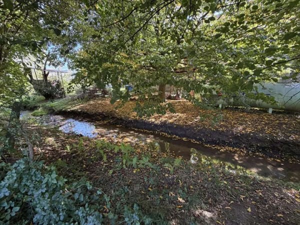 Immobilie in Biberbach - Einfamilienhaus mit Potential und großem Garten - Bild 4
