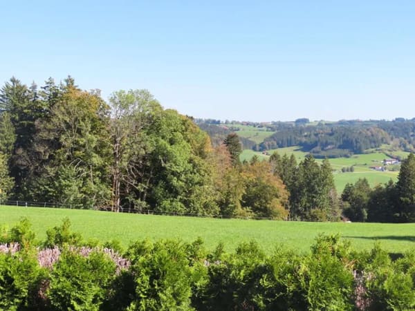 Immobilie in Obergünzburg - Ruhig Wohnen mit Bergblick! - Bild 2