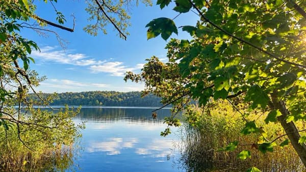 Immobilie in Joachimsthal - Rückzugsort am Grimnitzsee | Ganzjährig wohnen mit Kamin und Natur - Bild 0