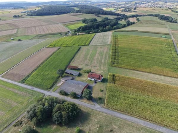 Immobilie in Wetter - Landleben ohne direkte Nachbarn – großzügiges Anwesen mit Weitblick, Stallungen und Nebengebäuden - Bild 3