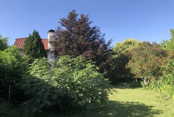 Immobilie in Gerbstedt - Mansfeld-Südharz OT Gerbstedt: Großzügiges Einfamilienhaus mit Pool auf 2.771 m² Grundstück - Kaufpreis VB - Bild 3