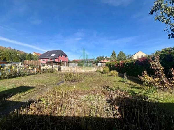Immobilie in Brieskow-Finkenheerd - Doppelhaushälfte auf ca. 850 m² Grundstück mit Veranda, Homeoffice & Ausbaupotenzial - Bild 2