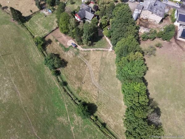 Immobilie in Nettersheim - Zingsheim: Wohnanwesen, Tierhaltung, ca. 300 m² Wohnfläche,  6.532 m² Grundstück, Ortsrandlage ... - Bild 1