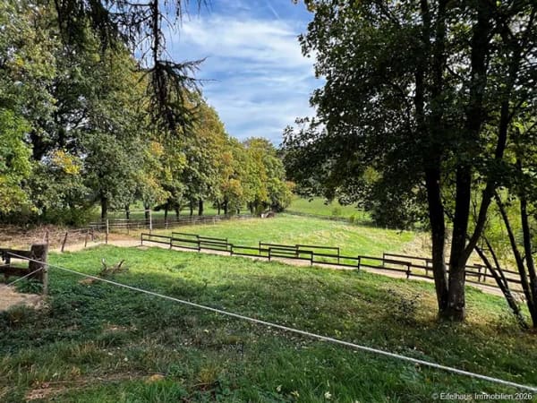 Immobilie in Nettersheim - Zingsheim: Wohnanwesen, Tierhaltung, ca. 300 m² Wohnfläche,  6.532 m² Grundstück, Ortsrandlage ... - Bild 4