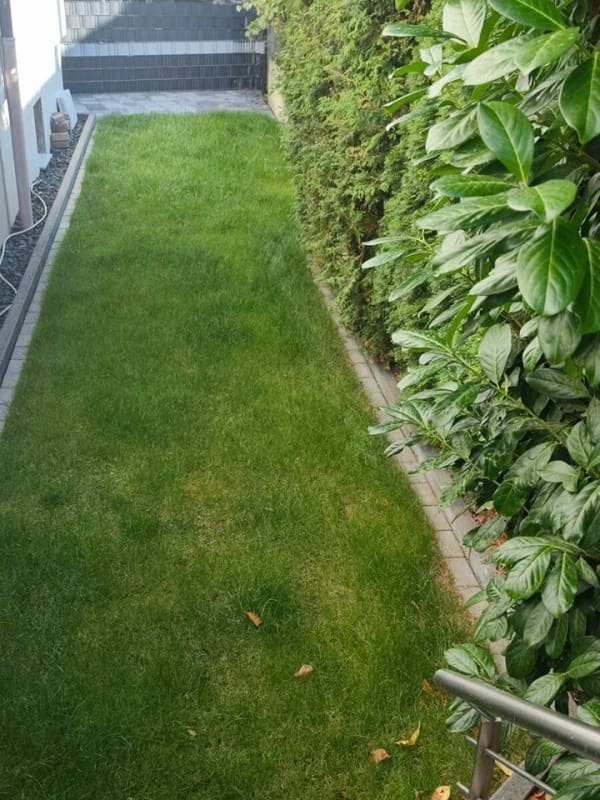 Immobilie in Kettig - Wie im eigenen Haus - großzügige 114 qm Wohnung mit Terrasse, Garten und Tiefgarage in Kettig - Bild 1