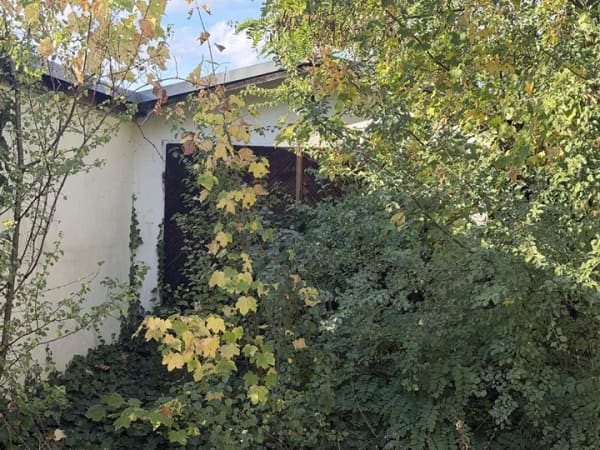 Immobilie in Teutschenthal - Provisionsfreier Erwerb aus Zwnagsversteigerung - Bild 4