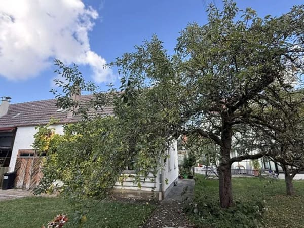 Immobilie in Weißenhorn - +++großes Grundstück+++Rohbau geschenkt+++ - Bild 3
