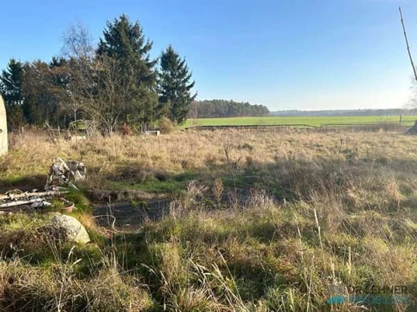 Immobilie in Heiligengrabe - Naturnah wohnen mit Charme – Einfamilienhaus mit Einliegerwohnung - Bild 3