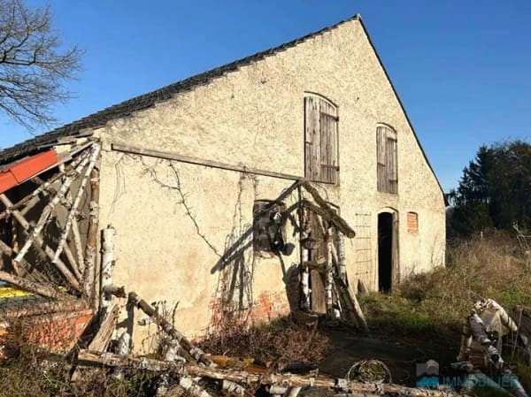 Immobilie in Heiligengrabe - Naturnah wohnen mit Charme – Einfamilienhaus mit Einliegerwohnung - Bild 4