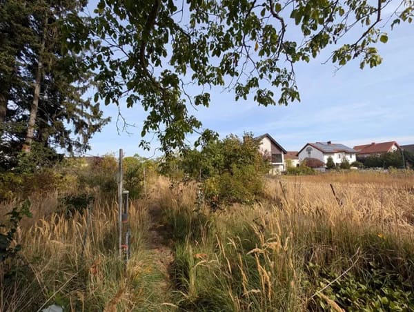 Immobilie in Schifferstadt - Jetzt ins eigene Haus – Einfamilienhaus in Schifferstadt - Bild 3