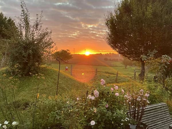 Immobilie in Rehhorst - Wohnen mit Weitblick - Bild 0