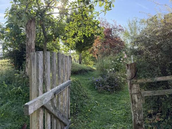 Immobilie in Rehhorst - Wohnen mit Weitblick - Bild 4