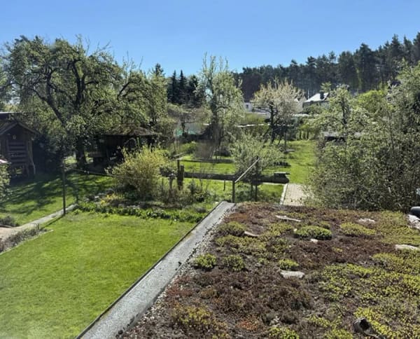 Immobilie in Neiße-Malxetal - Einfamilienhaus freistehend in Neiße-Malxetal (Groß Kölzig/ Klein Kölzig) - Bild 4