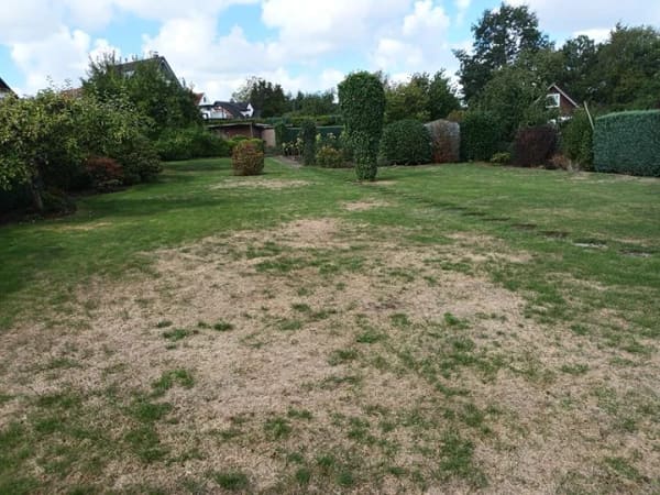 Immobilie in Walsrode - Einfamilienhaus freistehend in Walsrode - Bild 4