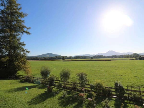 Immobilie in Freilassing - Teilvermietetes Mehrfamilienhaus in sehr schöner Lage mit großzügigem Grundstück und Alpenblick - Bild 2