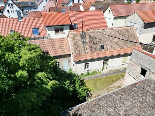 Immobilie in Böhl-Iggelheim - Großer Garten, Scheune und Restbestand auf ca. 644 m² in ruhiger Lage - Bild 3