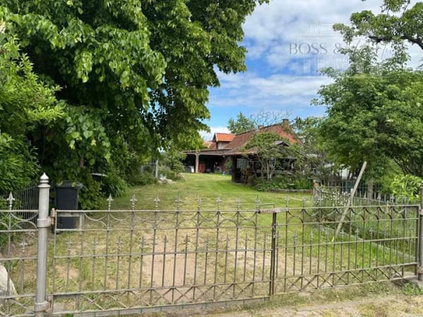 Immobilie in Amt Neuhaus - Außergewöhnliches Anwesen mit zwei Häusern am Elbdeich - Bild 4