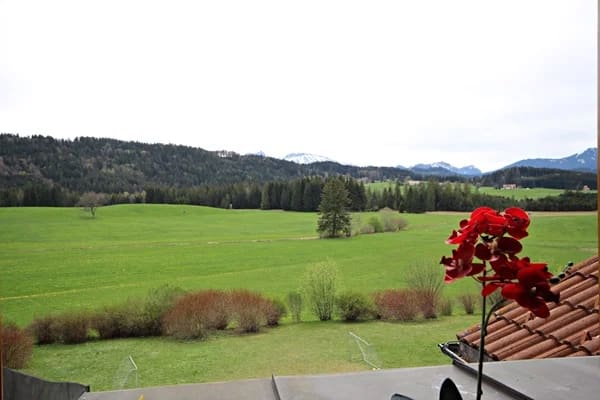 Immobilie in Seeg - Geheimtipp Urgemütliche DG-Ferienwohnung: Natur pur – Bergblick inklusive! - Bild 1