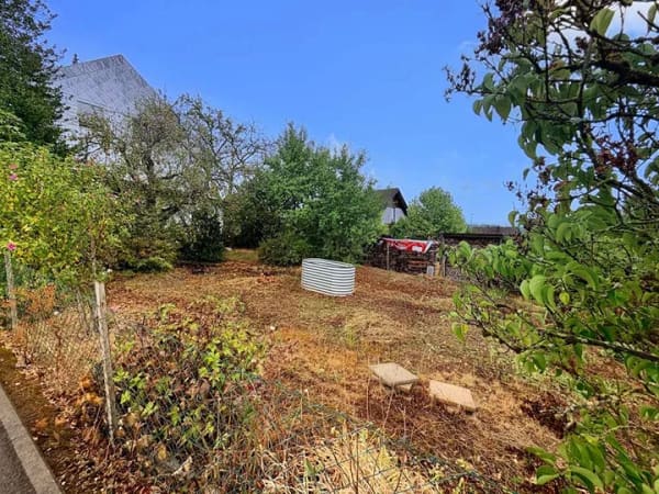 Immobilie in Wadern - Gepflegtes Einfamilienhaus in Wadern - Steinberg - Bild 2