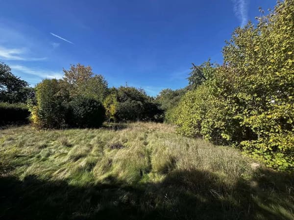 Immobilie in Sinzing -  Altbestand mit Baugrundstück - Vorbescheid für zwei Einfamilienhäuser - Platz für Wohnideen - Bild 2