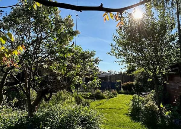 Immobilie in Tannheim - Einfamilienhaus mit großem Garten und vielseitigen Gestaltungsmöglichkeiten - Bild 1