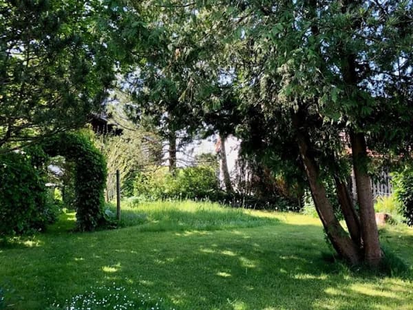 Immobilie in Tannheim - Einfamilienhaus mit großem Garten und vielseitigen Gestaltungsmöglichkeiten - Bild 2