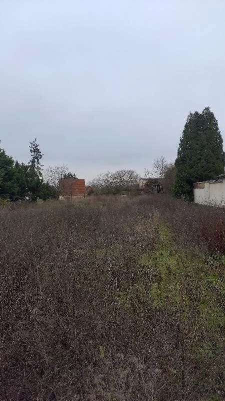 Immobilie in Alsleben - Einfamilienhaus mit Nebengelass in Alsleben - Bild 3