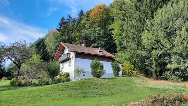Immobilie in Grainet - Bei Grainet - Alleinlage! Bayerwaldhaus am Waldesrand für nur € 199.000,-- - Bild 1