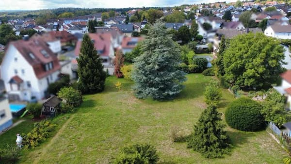 Immobilie in Lich - Besonderes Zweifamilienhaus auf außergewöhnlich großem Grundstück in zentraler Wohnlage von Lich - Bild 4