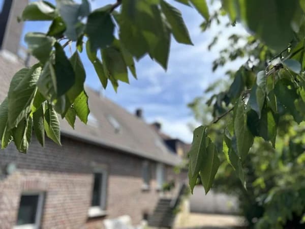 Immobilie in Dülmen - Ehemaliges Bauernhaus in BULDERN sucht neue Eigentümer!!! - Bild 0