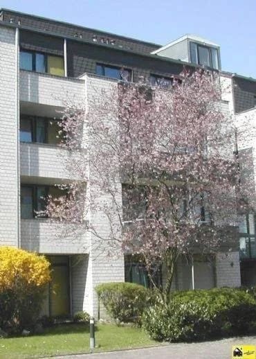 Immobilie in Bonn - Hotel-Apartment als Kapitalanlage! - Bild 1