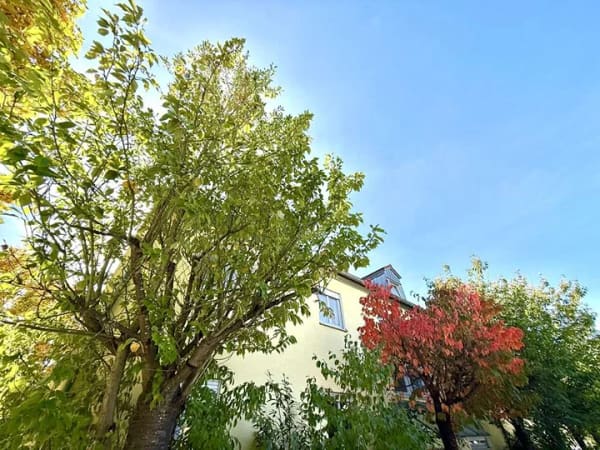 Immobilie in Beratzhausen - Im Grünen! In Ruhe! Mit Blick!
Ihre 2 Zimmer Wohnung in Beratzhausen! - Bild 0