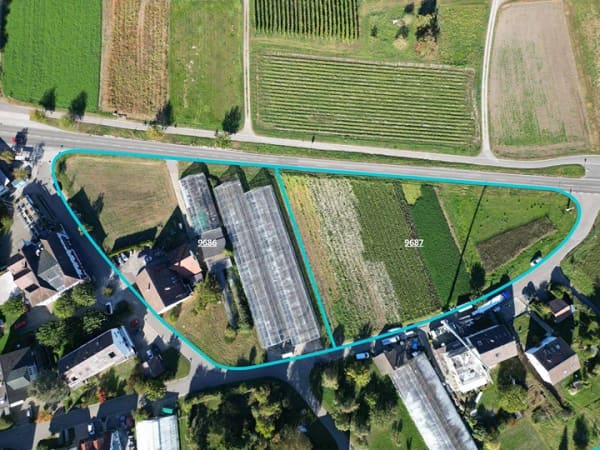 Immobilie in Reichenau - Großzügiges Anwesen in traumhafter Insellage - Raum für Ihre Ideen auf der Reichenau - Bild 2